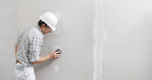 Mold Remediation for Vacation Homes in Stone Park, IL