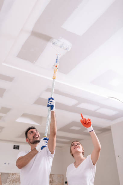  Stone Park, IL Mold Removal Pros