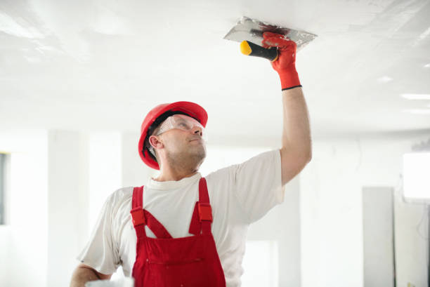 Trusted Stone Park, IL Mold Removal Experts