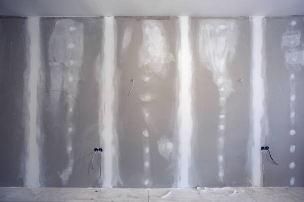 Stone Park, IL Mold Removal Company